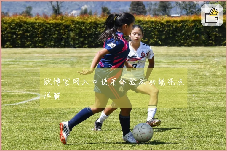 欧博官网入口使用体验及功能亮点详解