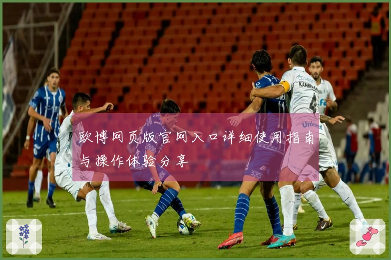 欧博网页版官网入口详细使用指南与操作体验分享