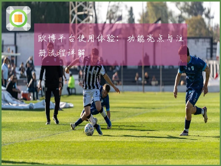 欧博平台使用体验：功能亮点与注册流程详解
